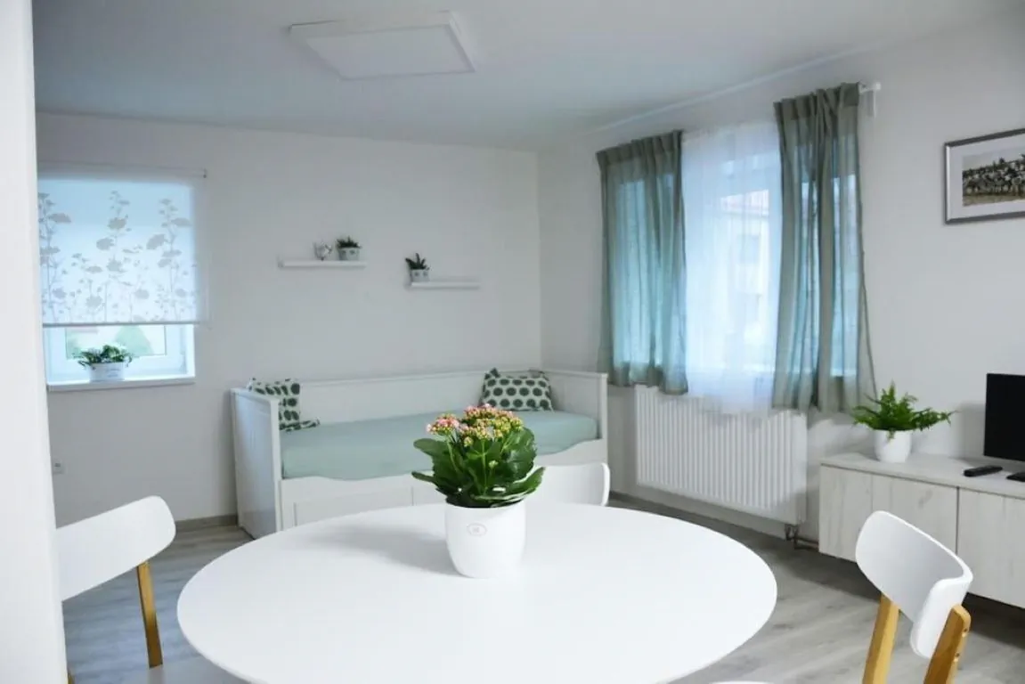 Apartmán Květinový Dům Hluk