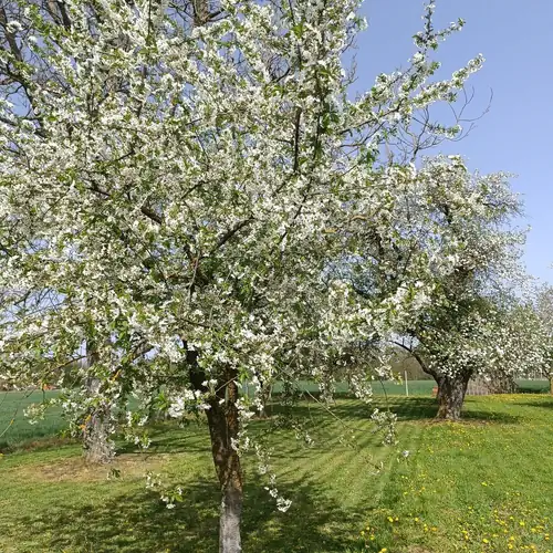 Hét Határ Vendégház Hegyhátszentpéter 055 kép