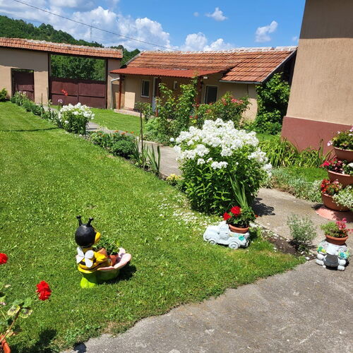 Pensiunea Izvorul Rece Hobița