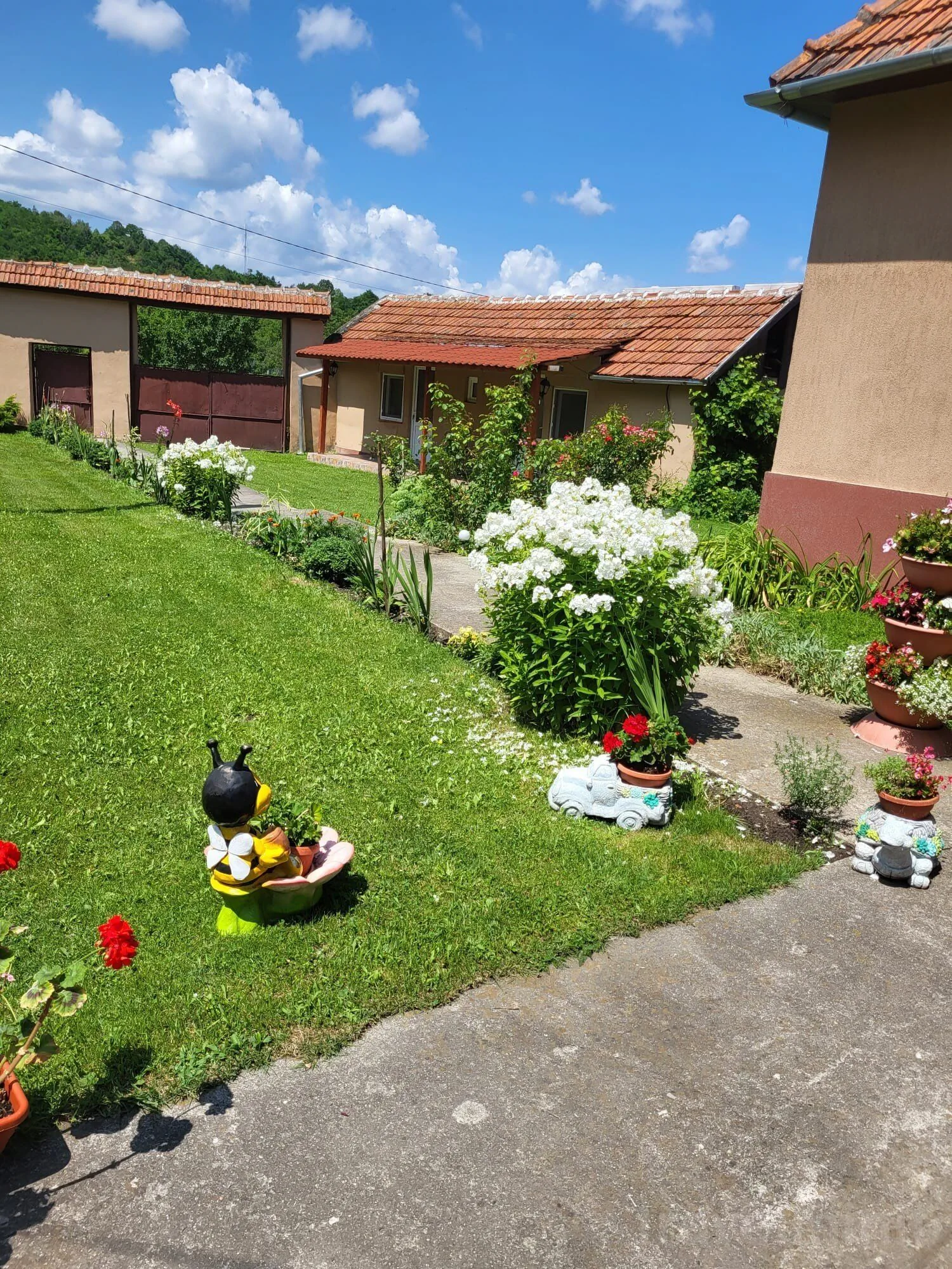 Pensiunea Izvorul Rece Hobița