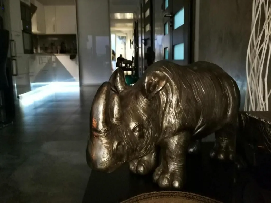 EGZOTYCZNE Meeru w Krainie Alicji