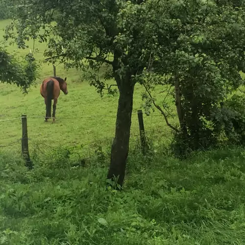 Hűvösvölgy Vendégház Lókút 008 kép