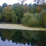 Wellness section, relaxation