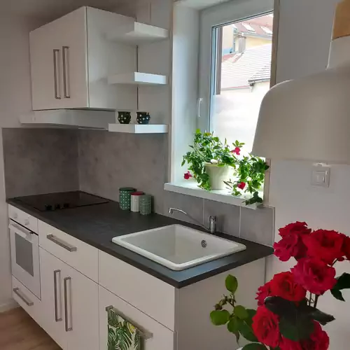 Zárda Utcai Apartman Kaposvár 003 kép