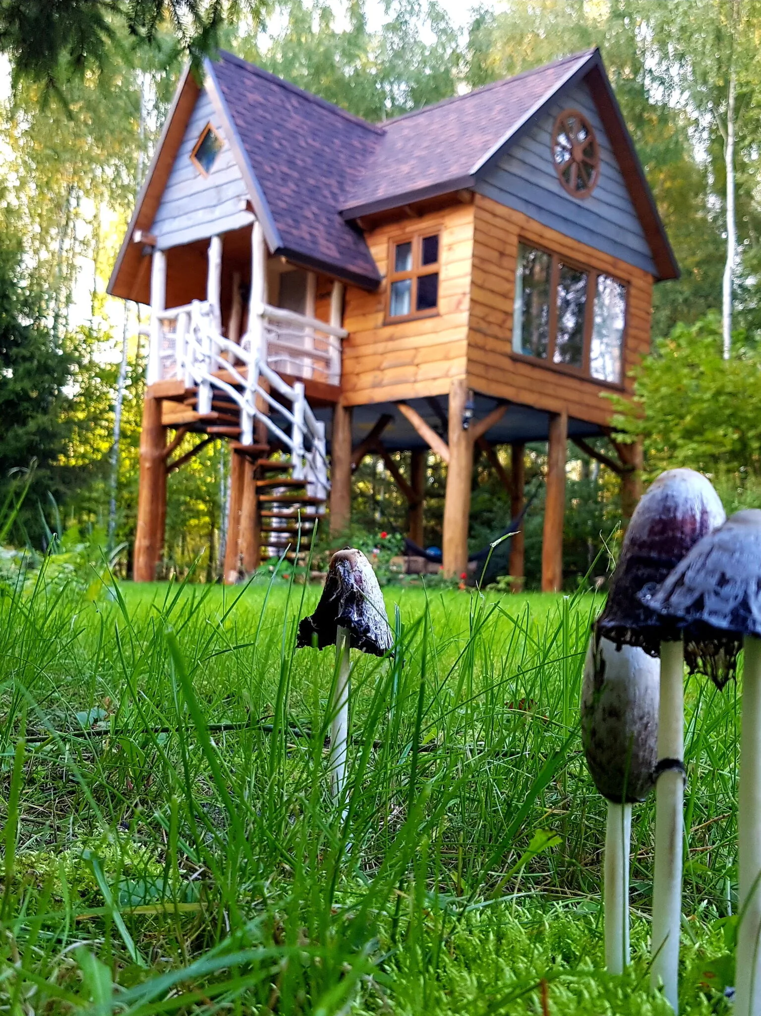 Agroturystyka Wiedźminowo Stawki