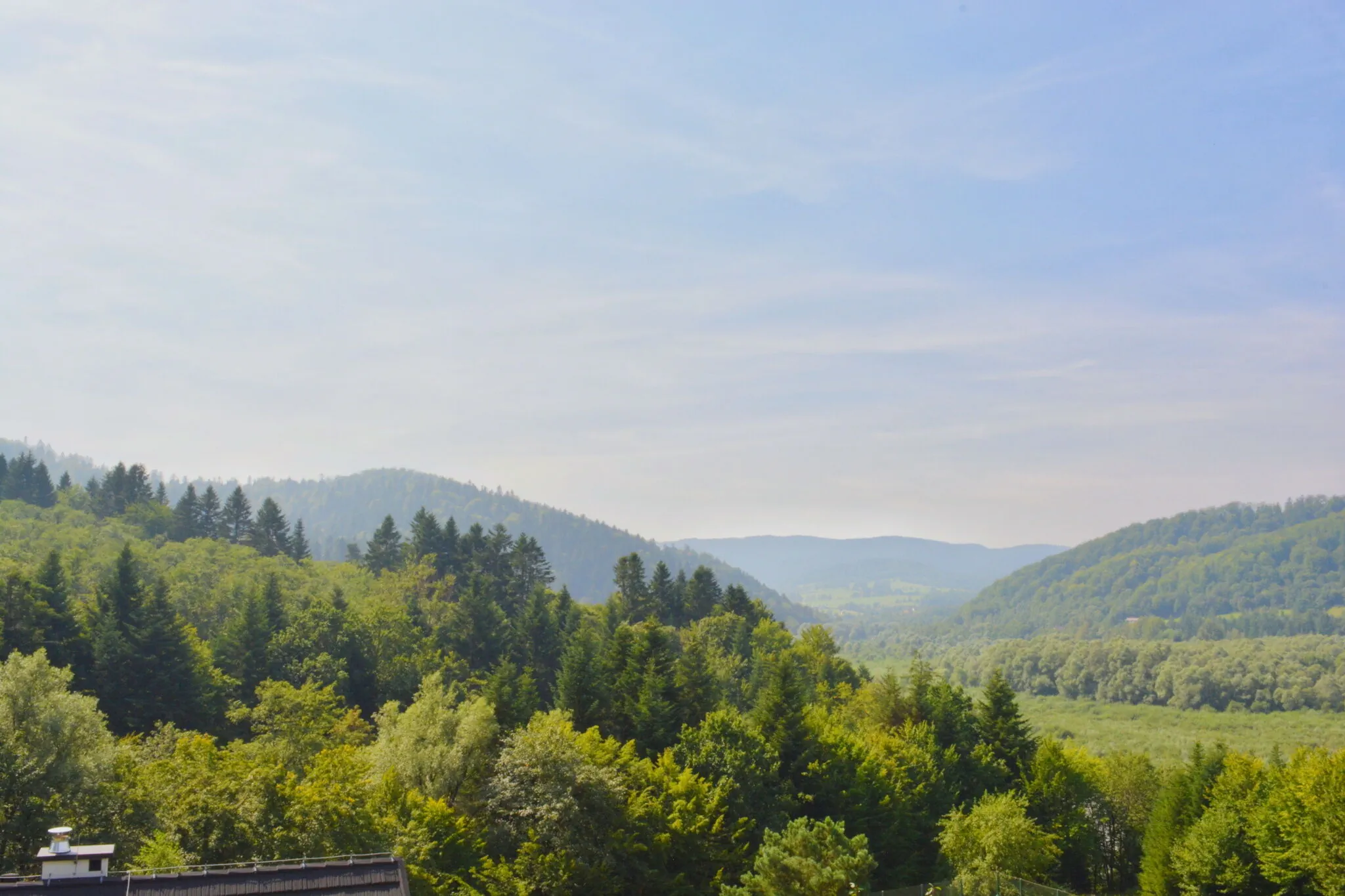Apartamenty Wilcza Knieja Zawóz