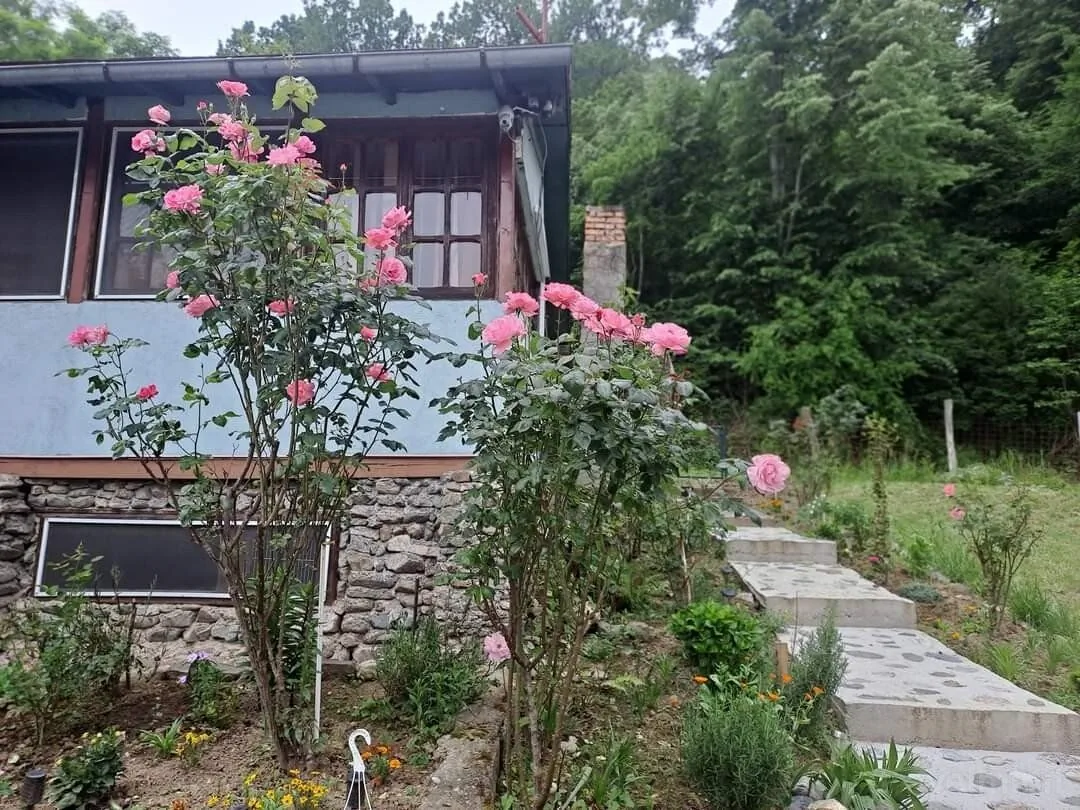 Cabana Elyana Mraconia Eșelnița