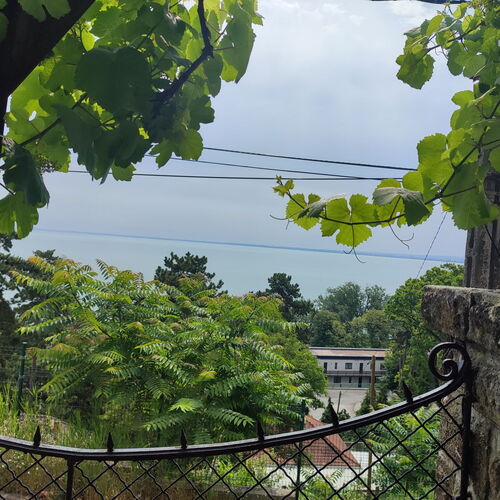 Dorka Villa Tihany  4