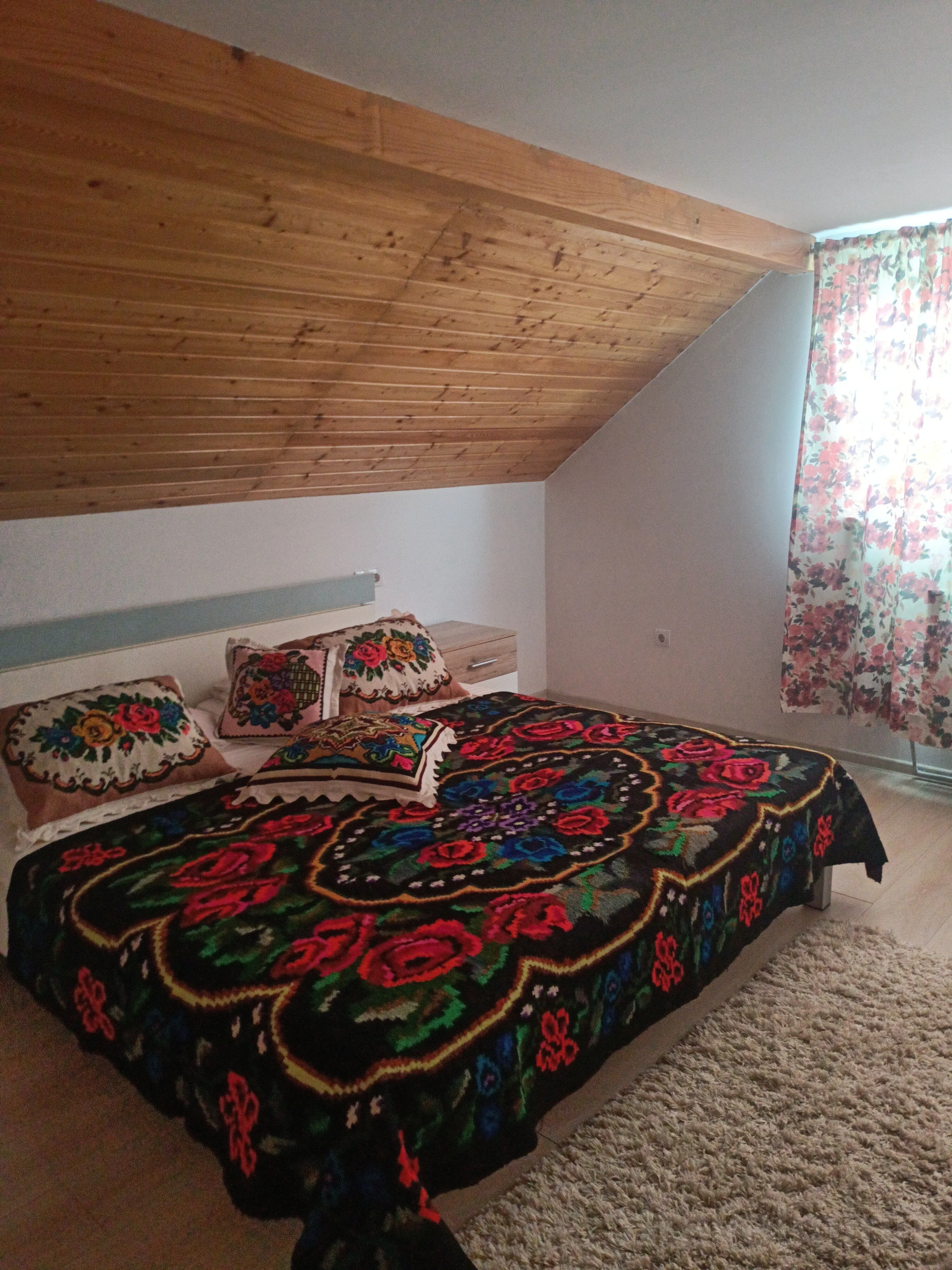 Casa Bizau Vișeu de Sus