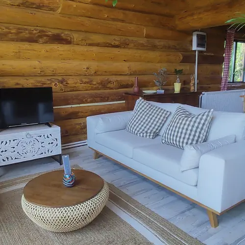 Living cu smart televizor