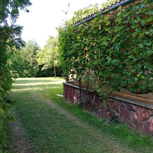 Oldschool Balaton Nyaraló Balatonfenyves  2