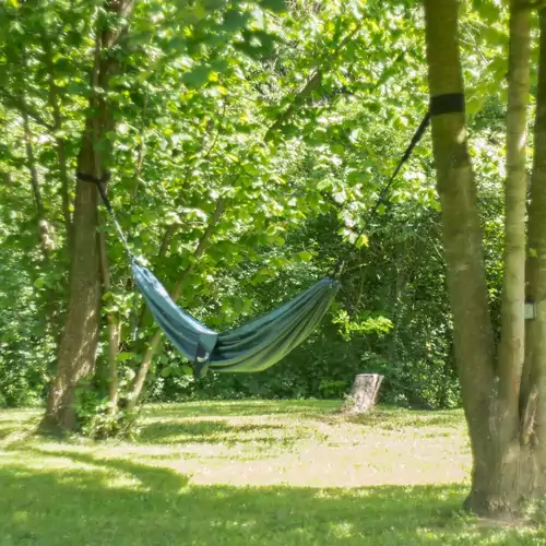 Zöld Fenyő Kuckó 013 kép