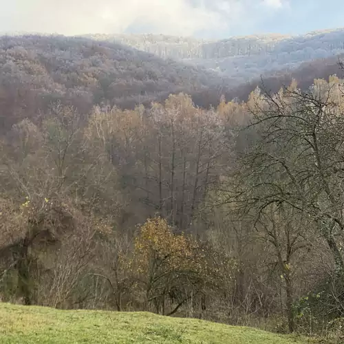 Bauer Teljes Vendégház Hosszúhetény - Püspökszentlászló 019 kép