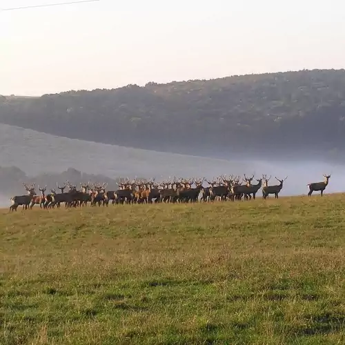 Zselicvad Vendégház Bőszénfa 012 kép