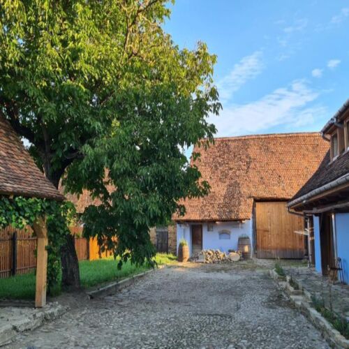 Pensiune Haus Rether Bunești