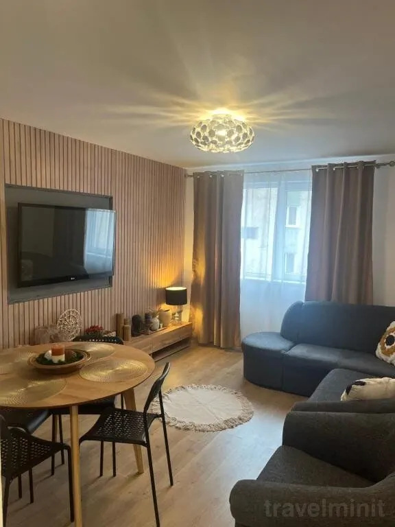 Apartament Roman Residence Borșa
