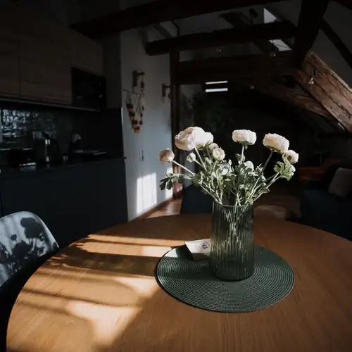 Mushrooms Malomszállás  Apartman Tata 010 kép