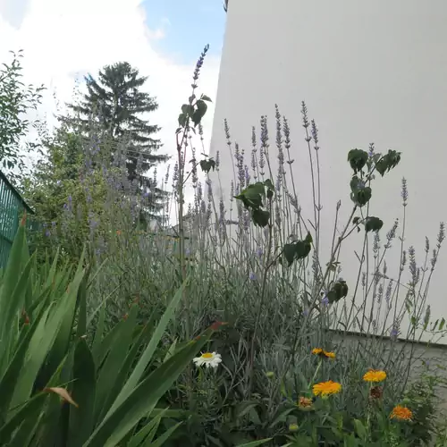 Cserépkályhás Vendégház Panyola 004 kép