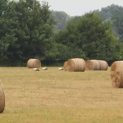 Cserépkályhás Vendégház Panyola 016 kép