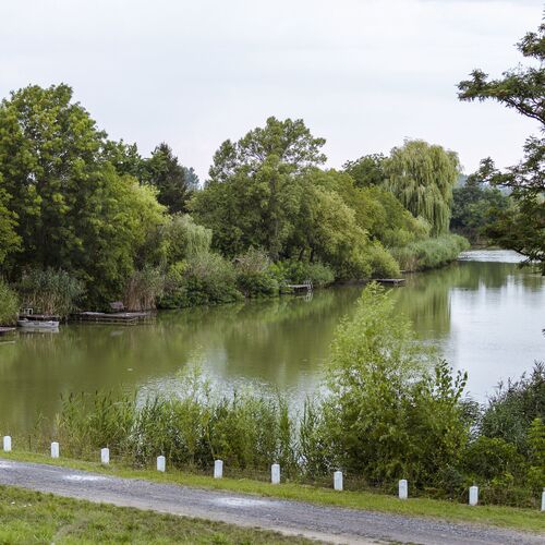 Pampuska Apartman Gyomaendrőd