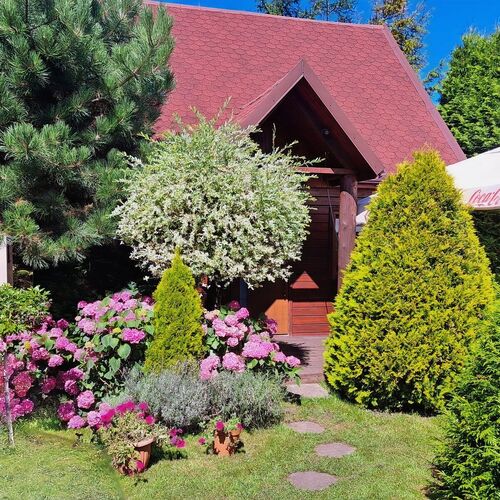 Domki Cyprys Ostrowo Kolonia