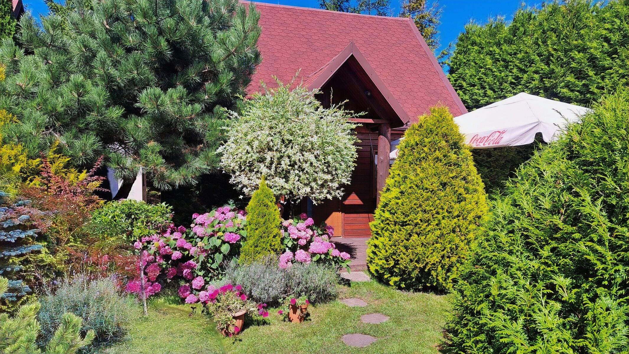 Domki Cyprys Ostrowo Kolonia