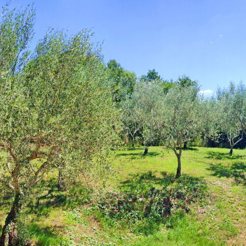 Apartman Marina Picudo Istria  3
