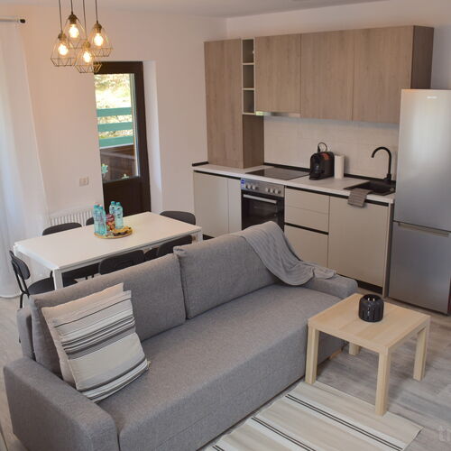 Cosy & Minimalistic Apartments Sinaia Hotely.cz