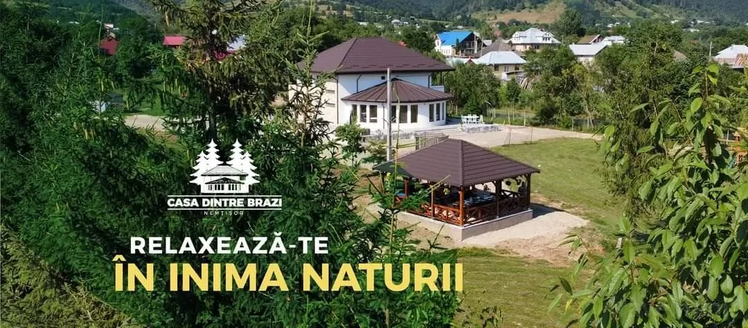 Casa Dintre Brazi Nemțișor