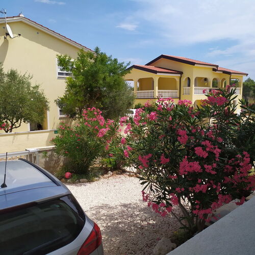 Apartmani Vjeko VIr  4