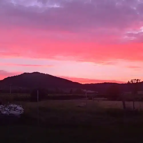 Furmint Home Vendégház Szegi 034 kép