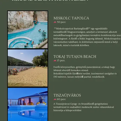 Furmint Home Vendégház Szegi 039 kép