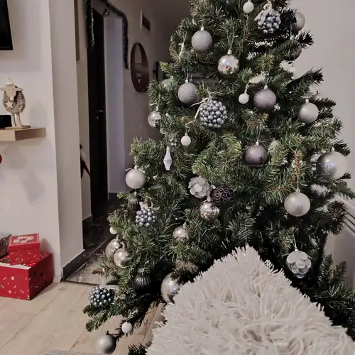 Furmint Home Vendégház Szegi 006 kép