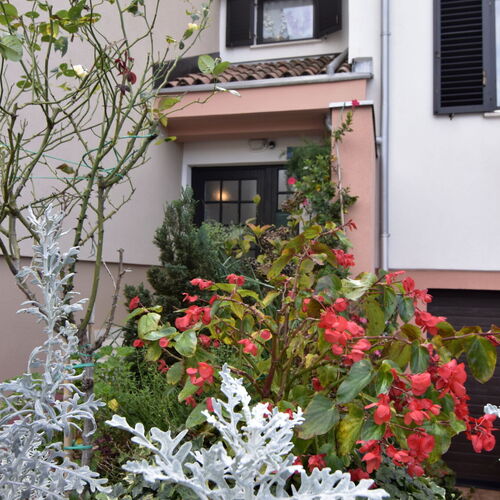 Apartman Dario Umag  2