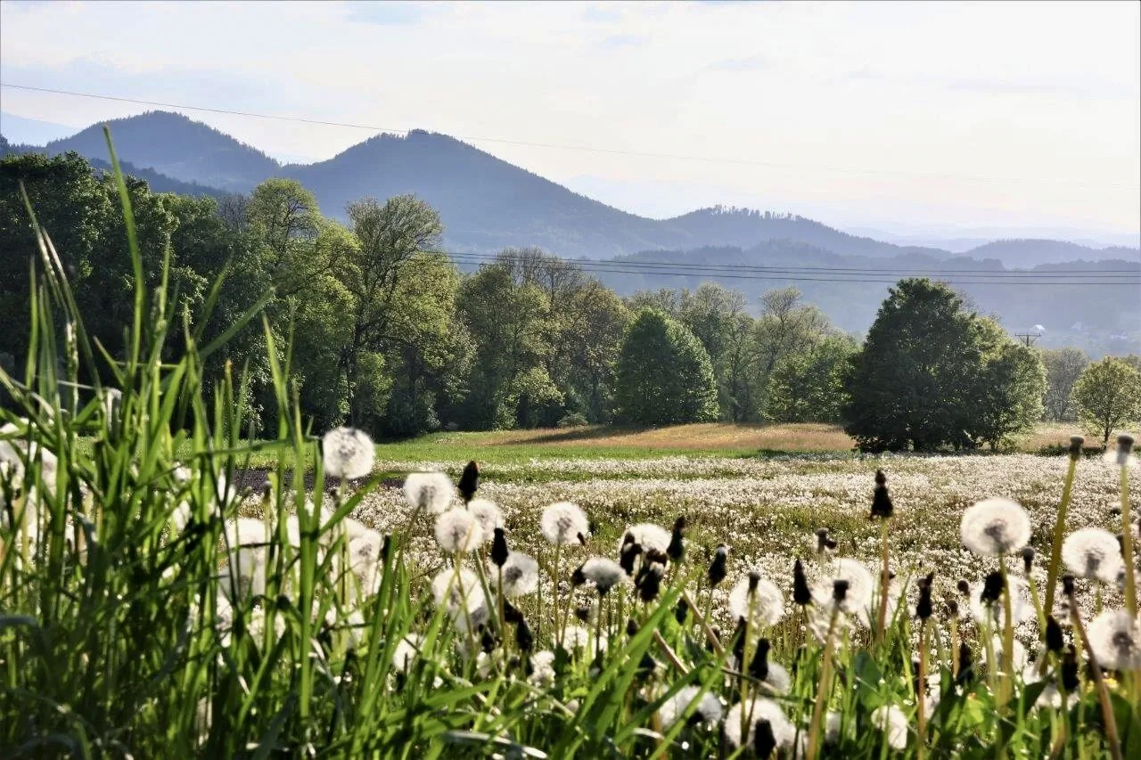 Domek Słoneczne Wzgórze Mniszków
