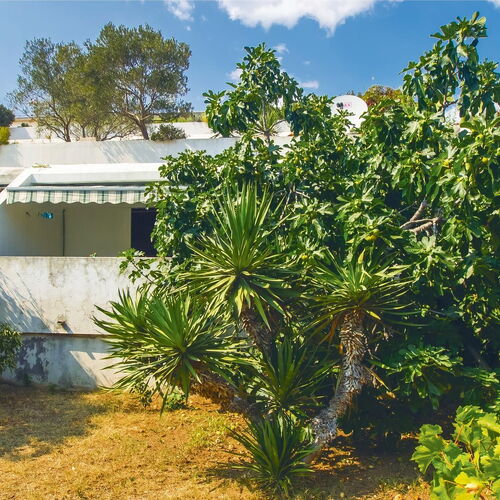 Apartman Split - CDF175  4