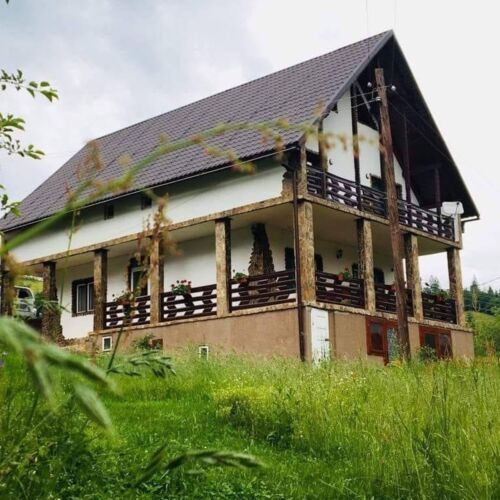 Pensiunea Andra Albac