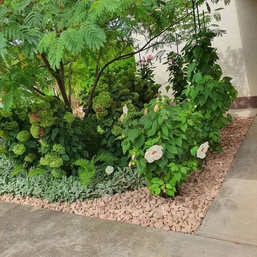 H&aacute;z előtti kert ny&aacute;ron