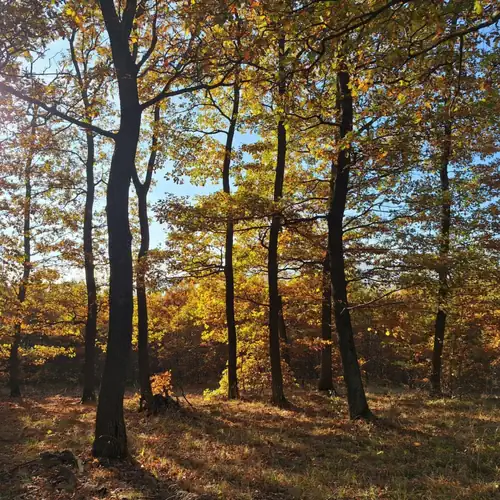 Panoráma Apartman Kesztölc 020 kép