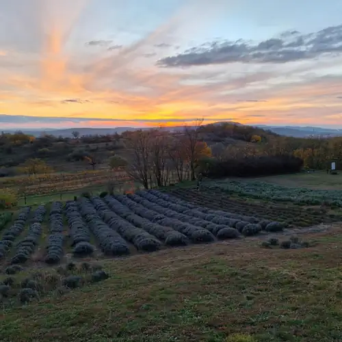 Panoráma Apartman Kesztölc 021 kép