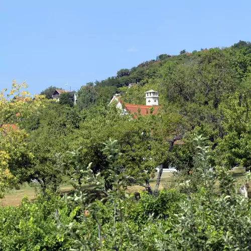 Szőlőhegy Vendégház Mencshely 048 kép
