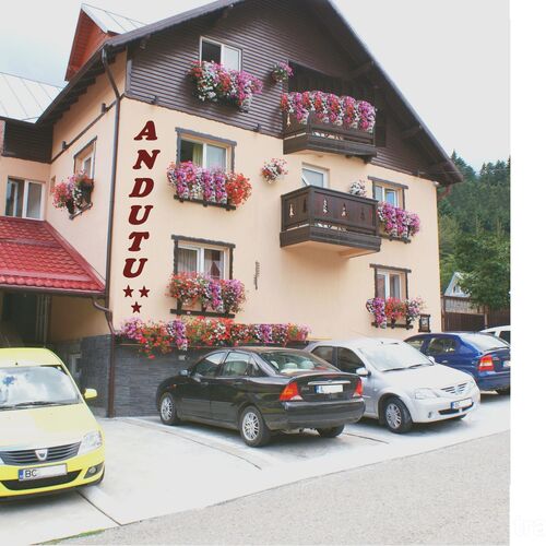 Pensiunea Andutu Bușteni