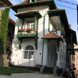 Casa Olănescu Băile Olănești