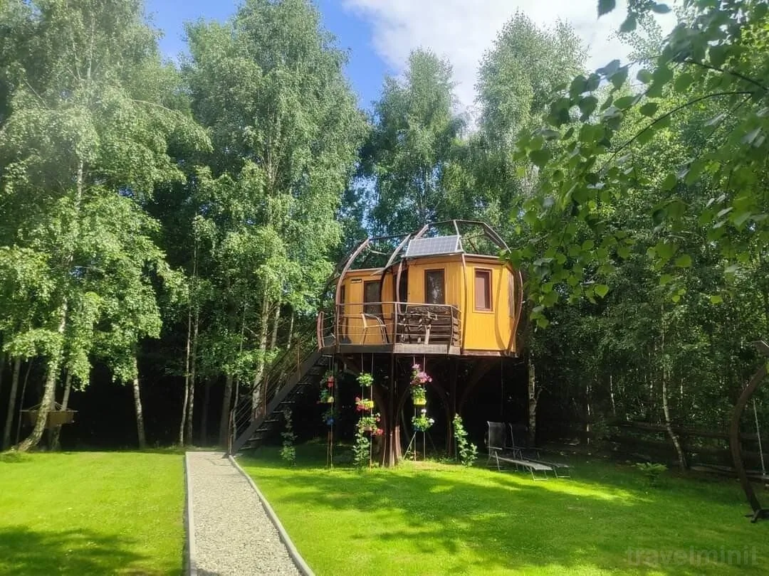 Piece of Heaven Treehouse Râșnov