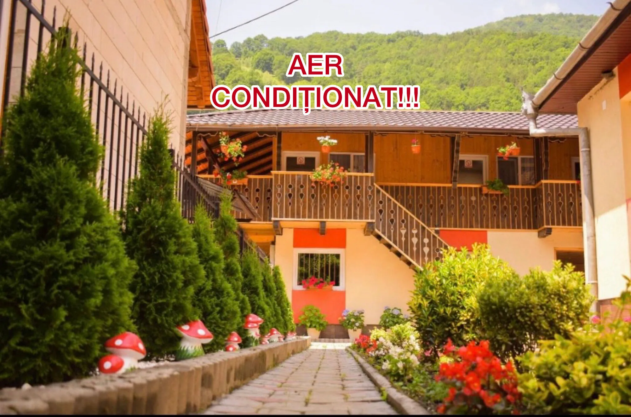 Casa Ioana Mărtinie