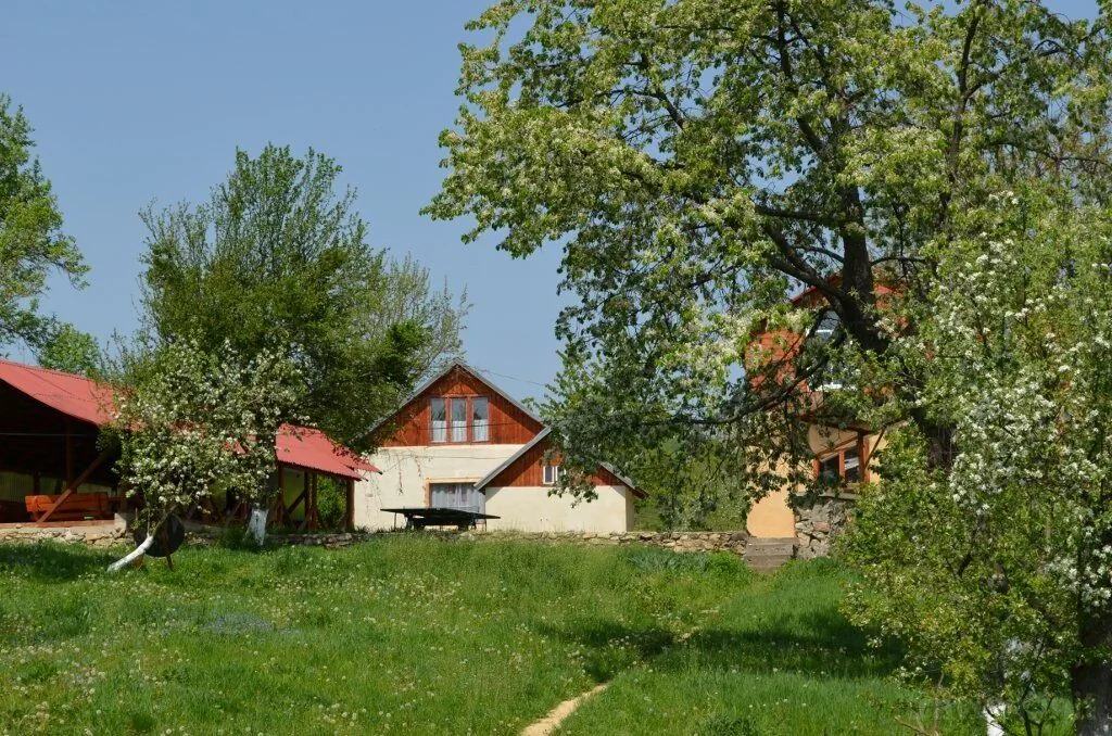 Camping Zamolxe Sarmizegetusa