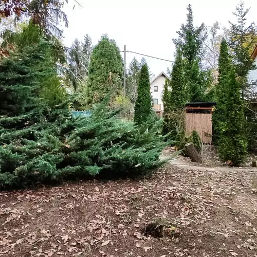 Árnyas Tölgy Vendégház Kismaro 019 kép