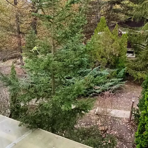 Árnyas Tölgy Vendégház Kismaro 023 kép