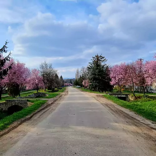 Tulipános Geszthouse Borsodgeszt 004 kép