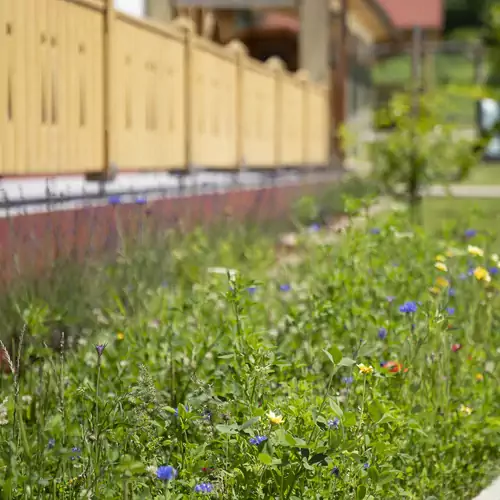 Tulipános Geszthouse Borsodgeszt 030 kép